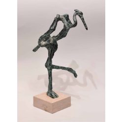 Szőke János - Figyelő madár