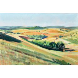   László Dániel - Mezők hullámai (40 x 60 cm) olaj/vászon