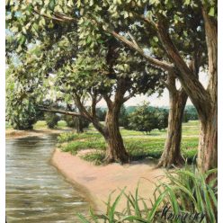 G. Kemecsey Miklós – Lombok alatt