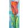Pálfy Julianna - Piros tulipán (50x20cm) olaj/vászon